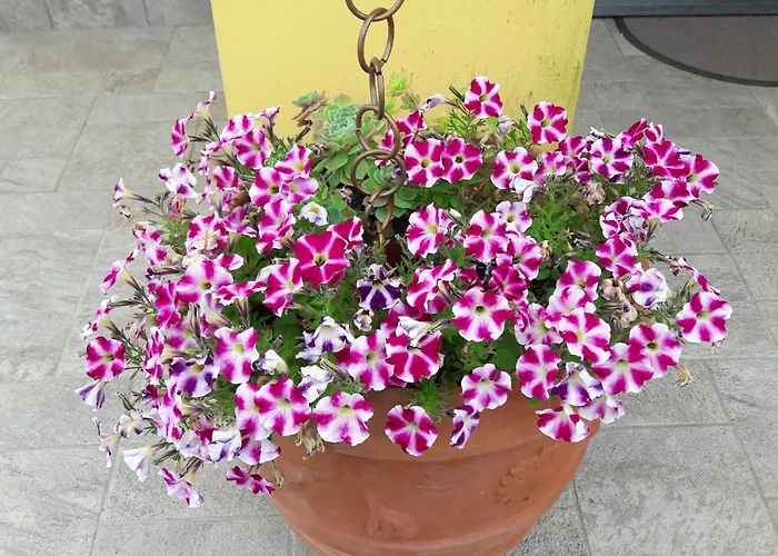 Oasi Panzió Corvara