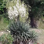 Oasi Corvara (Liguria)