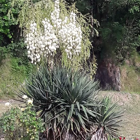 Oasi Corvara (Liguria)