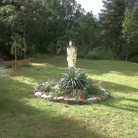 Oasi Bed & Breakfast 3*