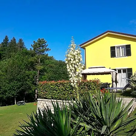 Oasi