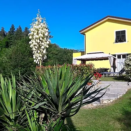Oasi Bed & Breakfast