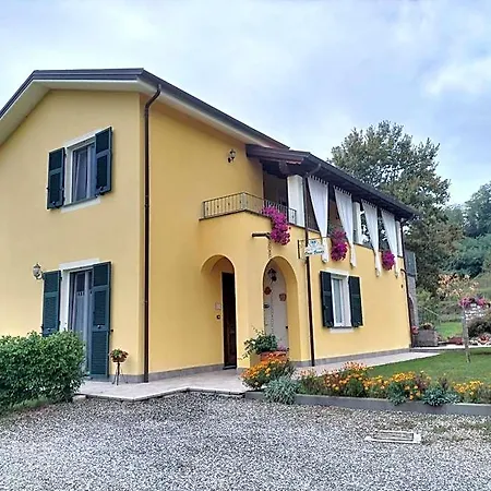 Oasi