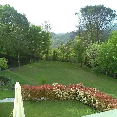 Oasi