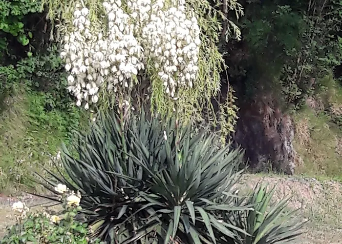 Oasi Corvara (Liguria)